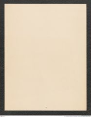 k.k. naturhistorisches Hofmuseum, Intendanzakten 1885-1896 (Hauer), Aktenzahl Z.728/1889, Seite 2